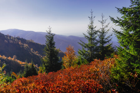 Осень в горах