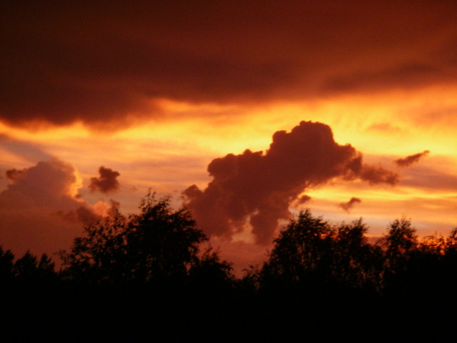 Без названия...