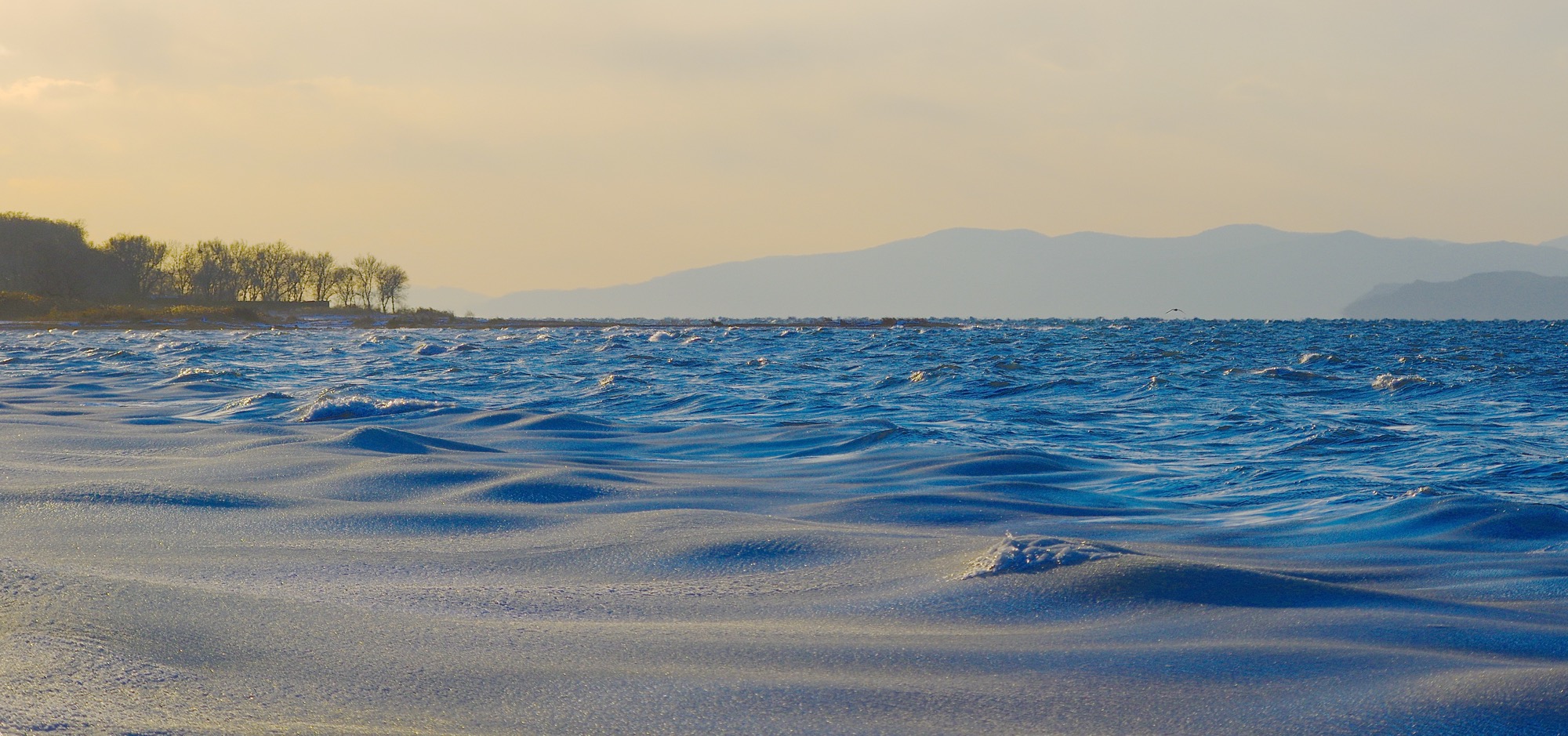 Первая шуга