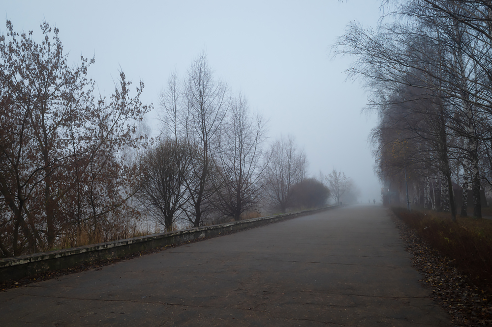 Туманный ноябрьский день