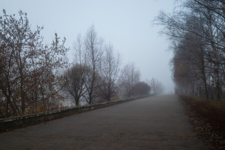 Туманный ноябрьский день