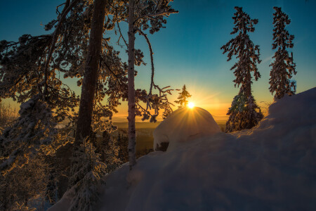 Утреннее солнце 
