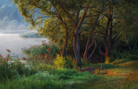 У озера на рассвете