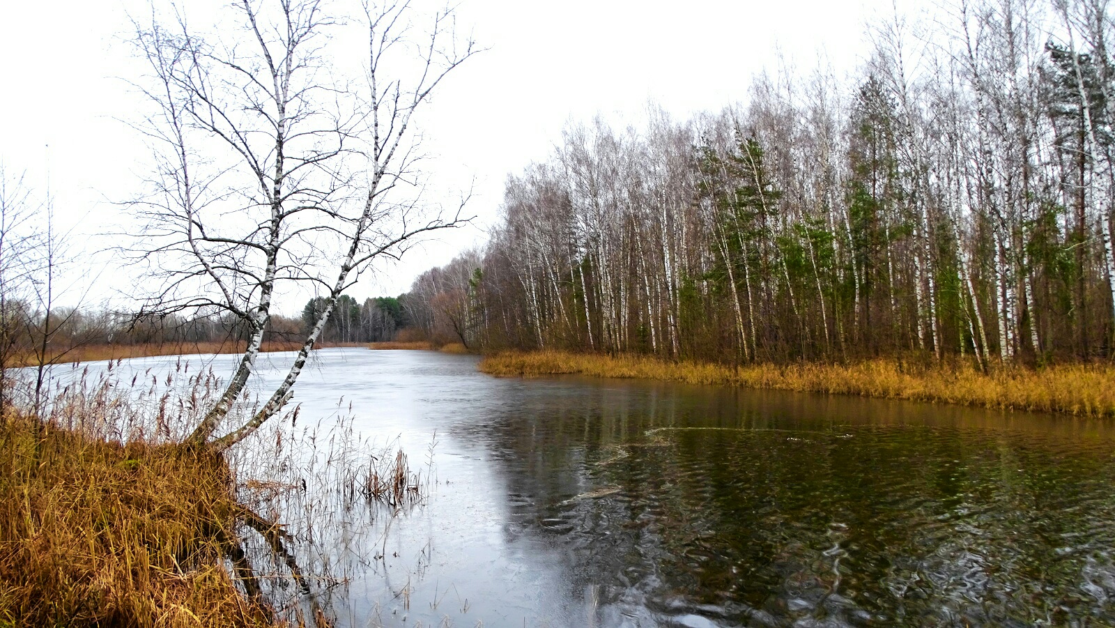 Природа Смоленщины 