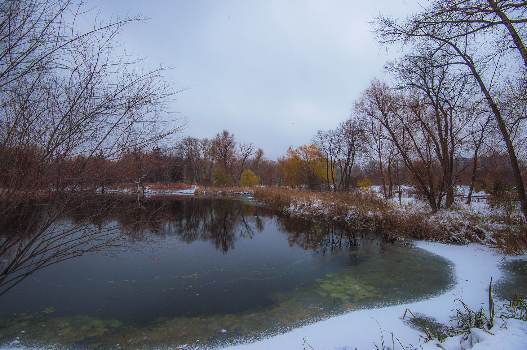 Первый снег