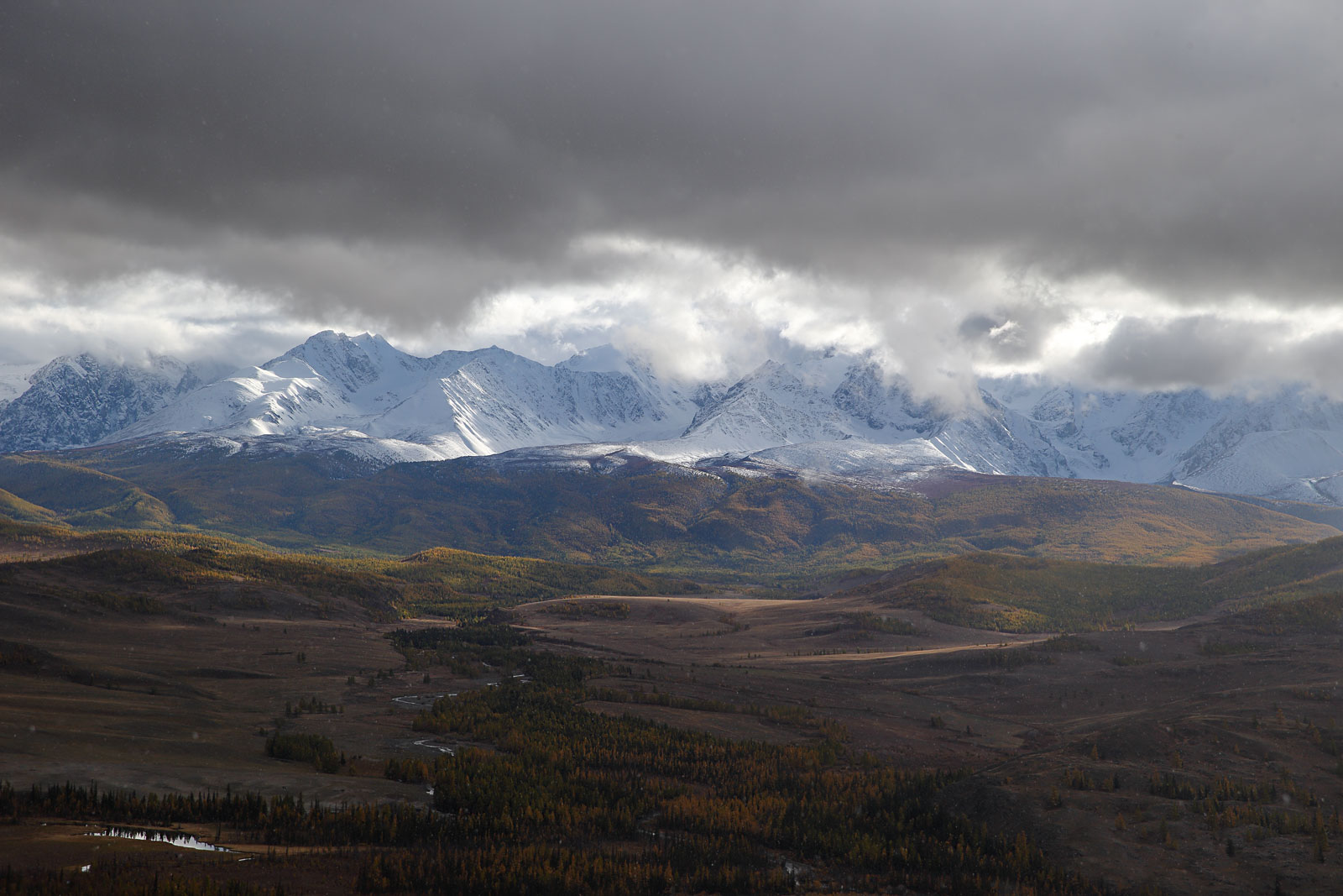 Перед дождём...