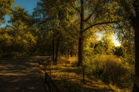 Осенний парк