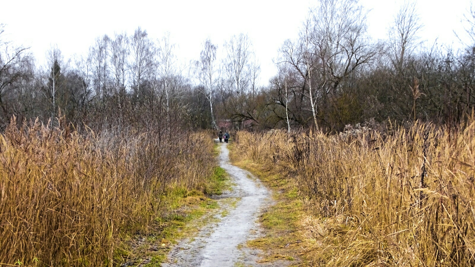 Природа Смоленщины 