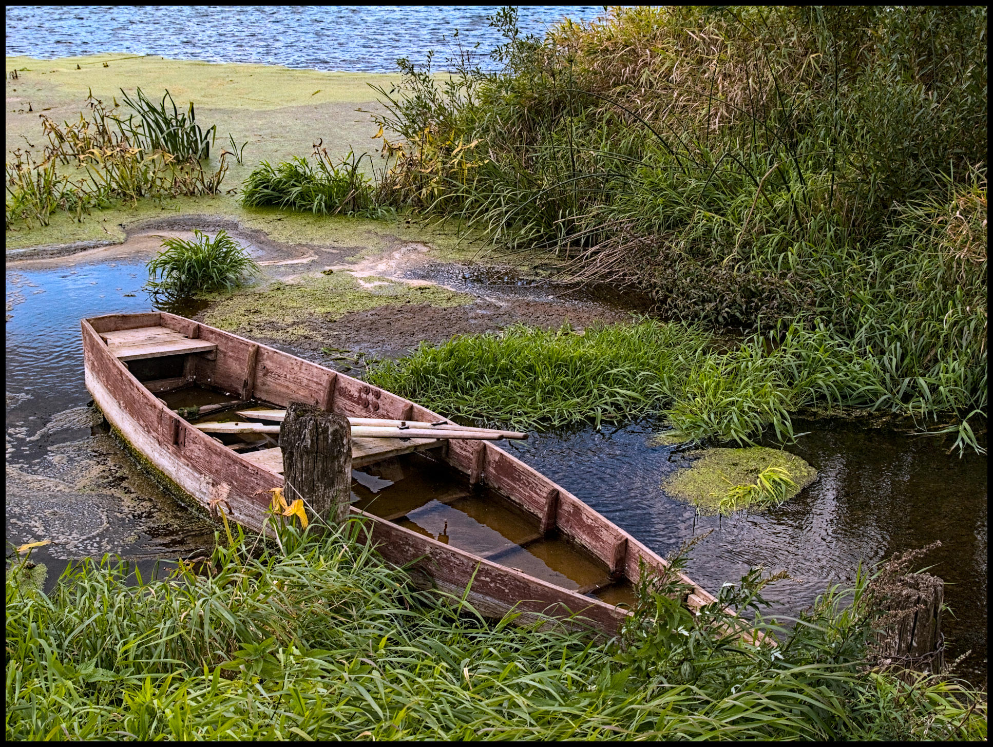 Цветение реки.