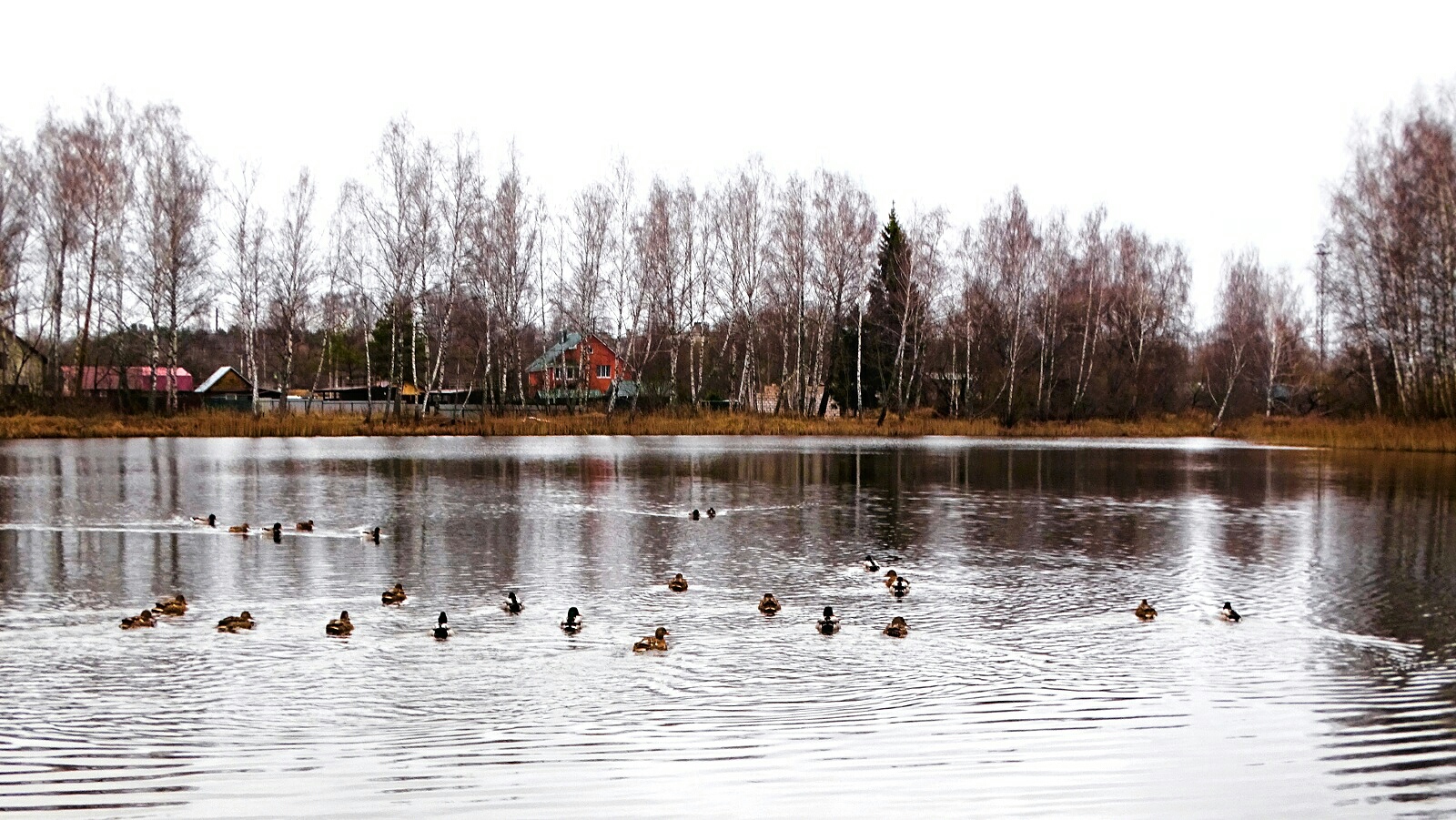 Природа Смоленщины 