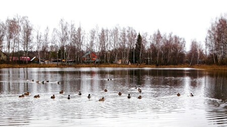 Природа Смоленщины 