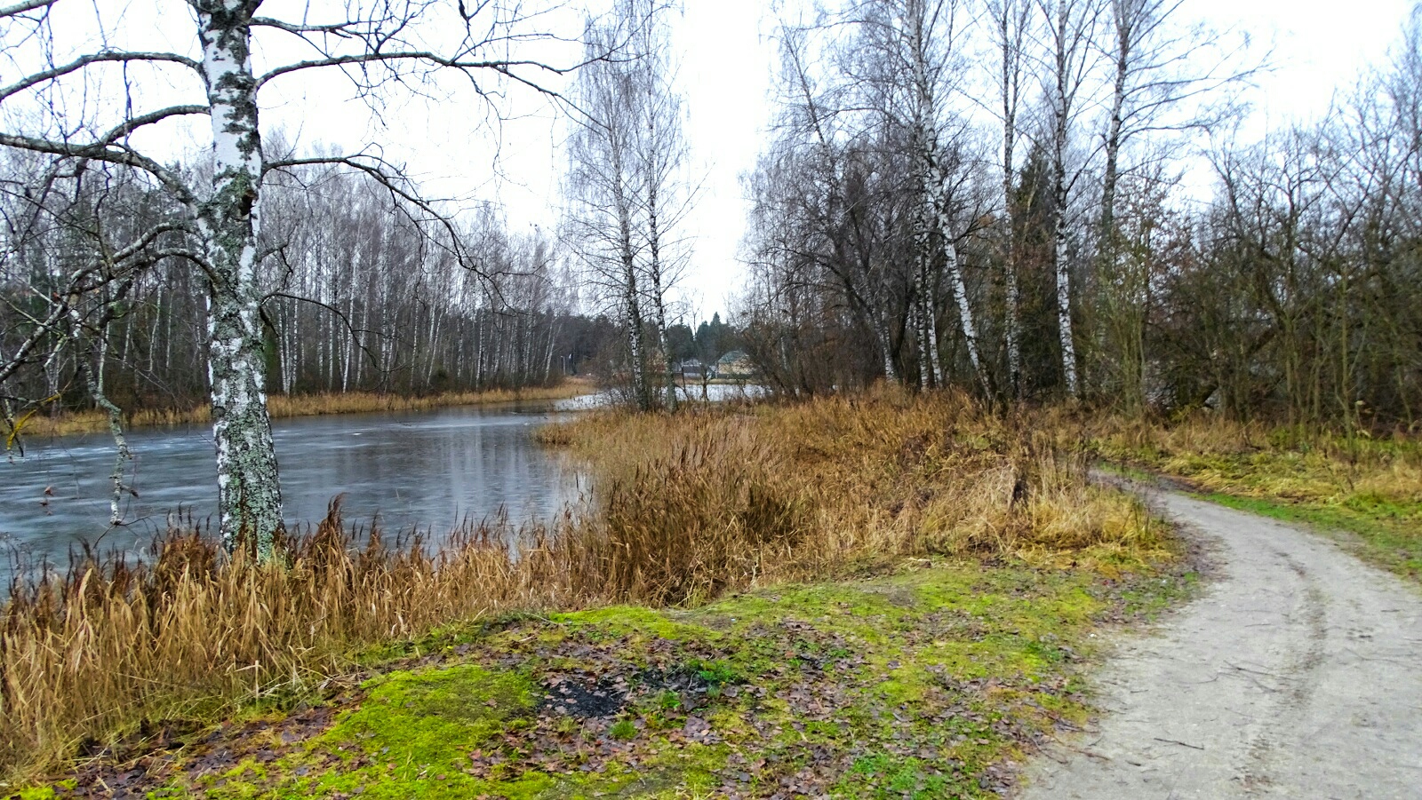 Природа Смоленщины 