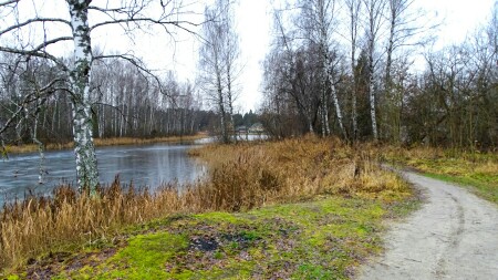 Природа Смоленщины 