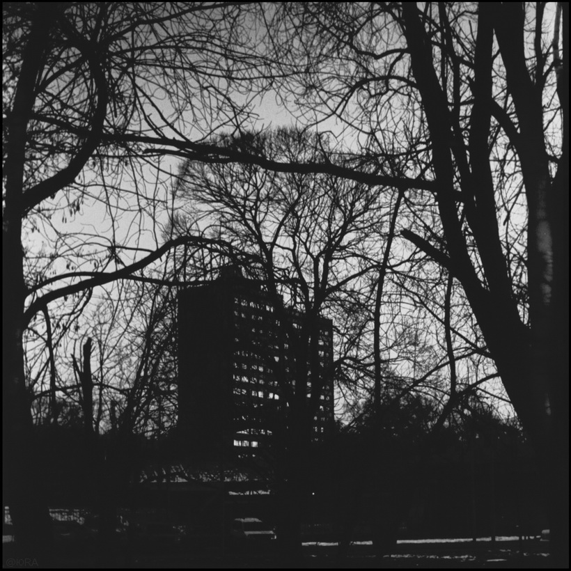 Пейзаж в закатном свете