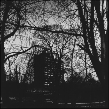 Пейзаж в закатном свете