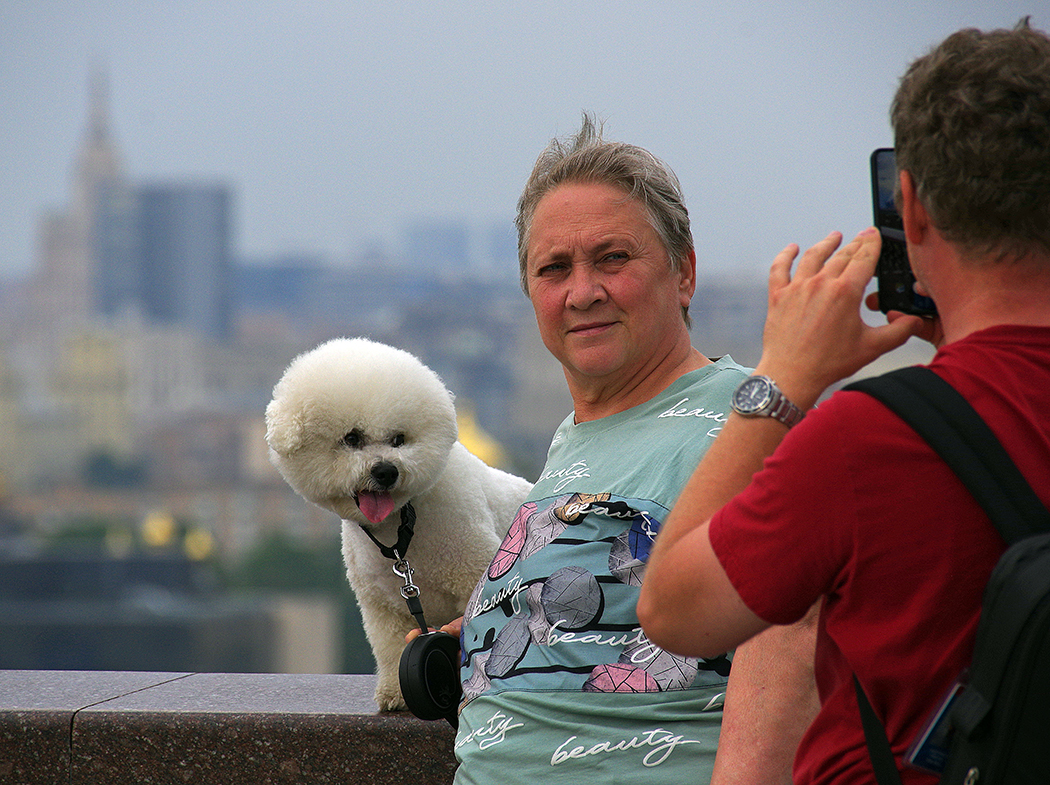 И любимый пудель