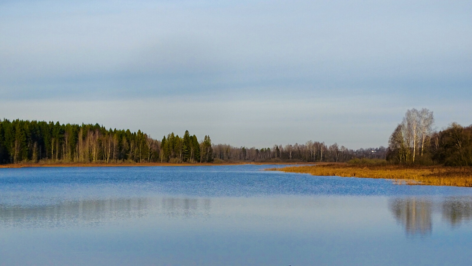 Природа Смоленщины 