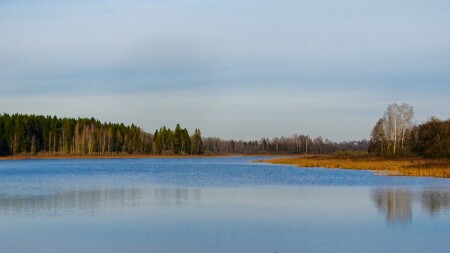 Природа Смоленщины 