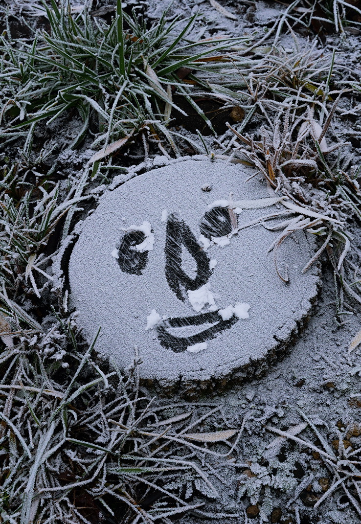 Мороз не страшен.