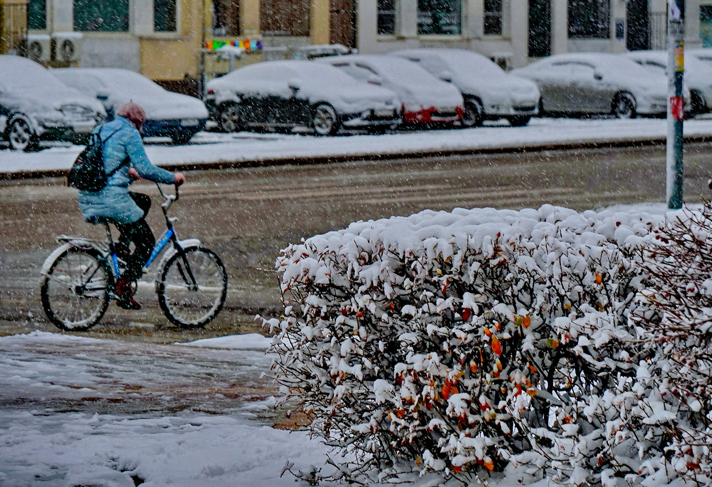 Самый надёжный транспорт.