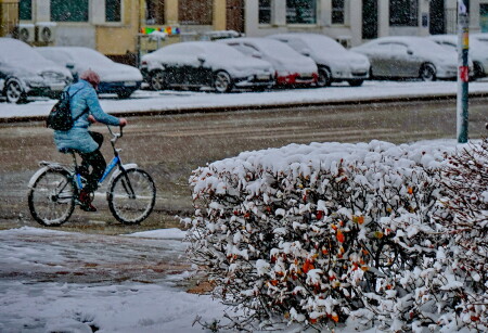 Самый надёжный транспорт.