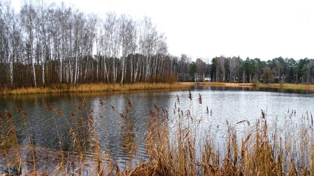 Природа Смоленщины 