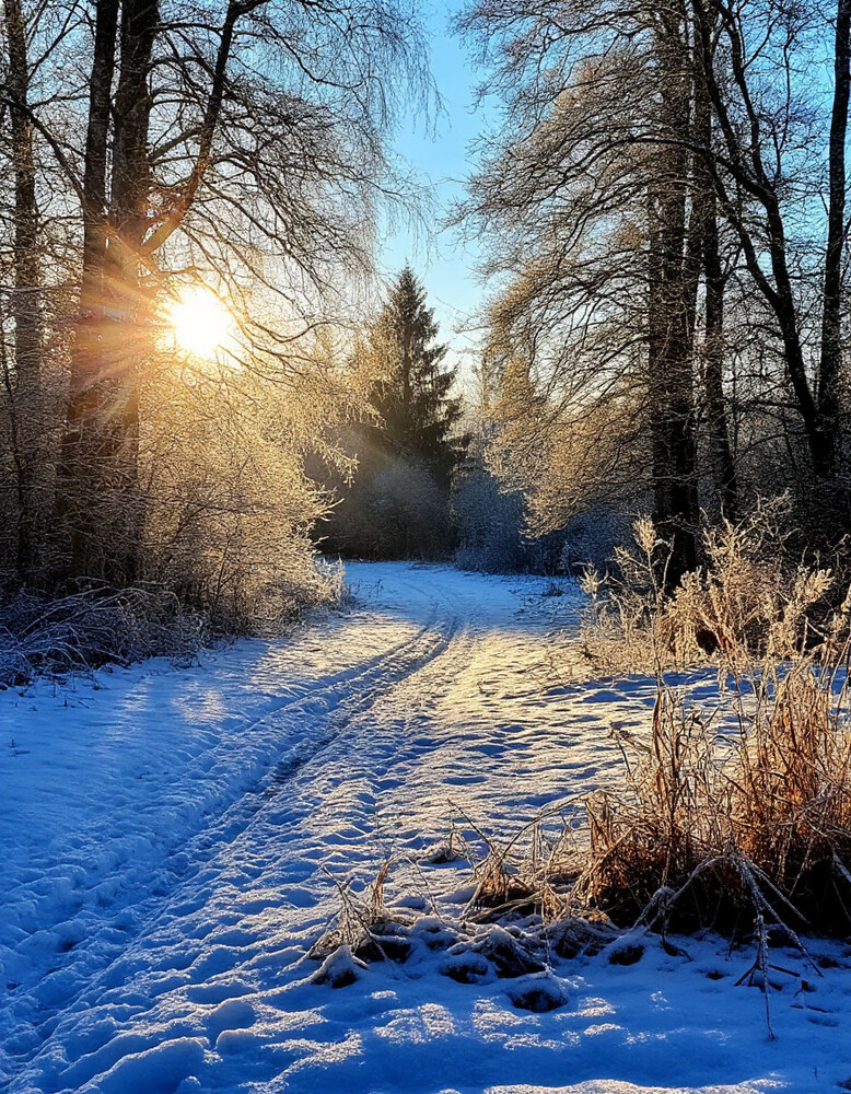 Немного сказки....