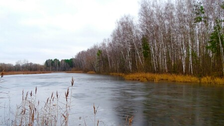 Природа Смоленщины 