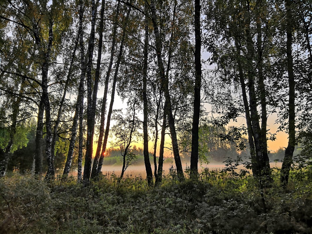 Утречко раннее