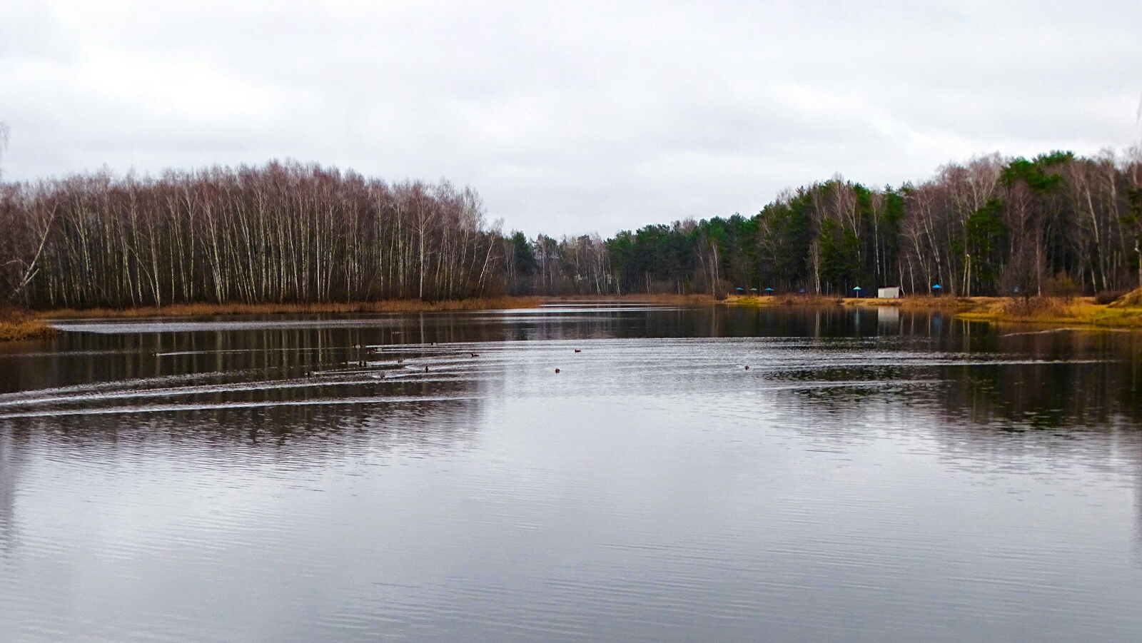 Природа Смоленщины 