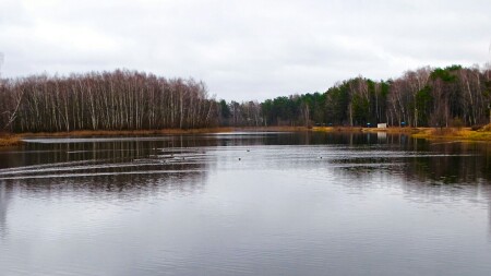 Природа Смоленщины 