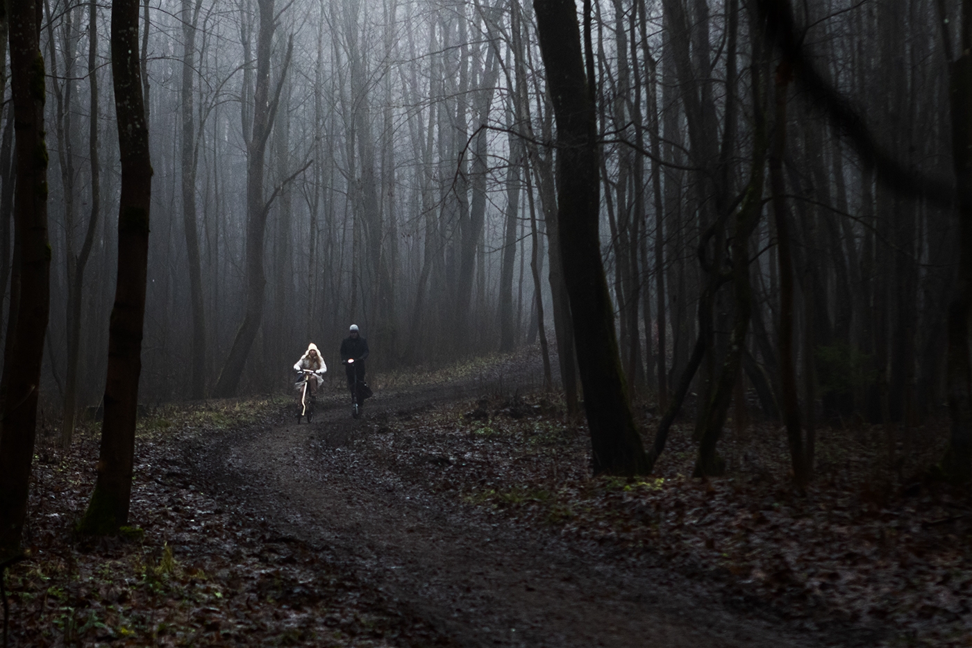 Декабрьский туман.