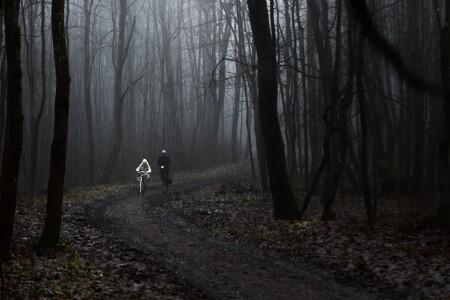 Декабрьский туман.
