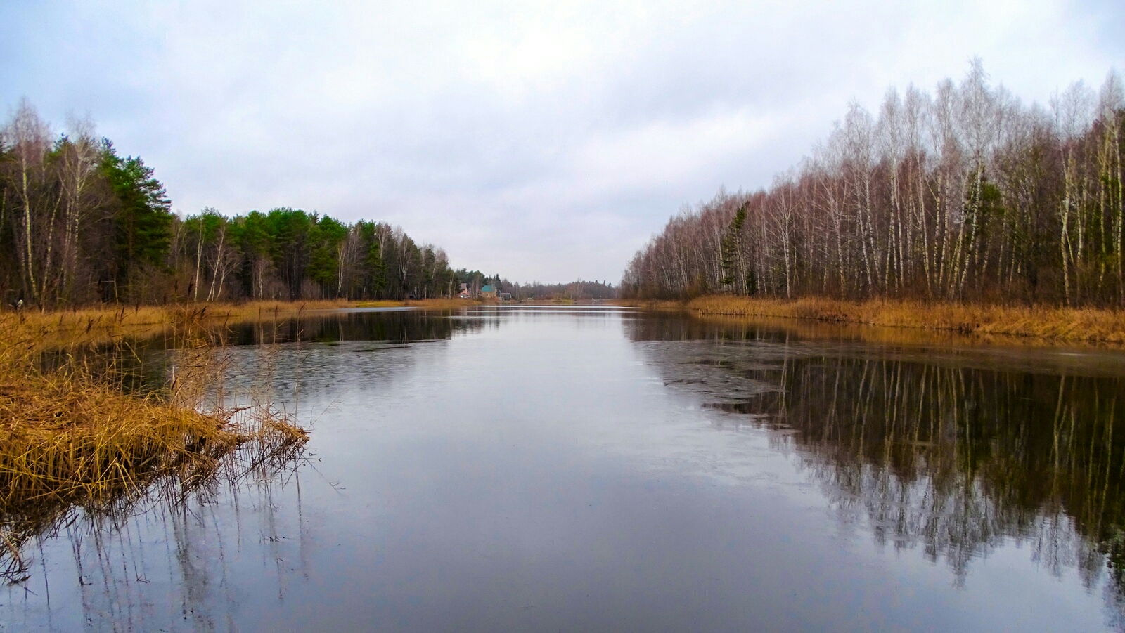 Природа Смоленщины 