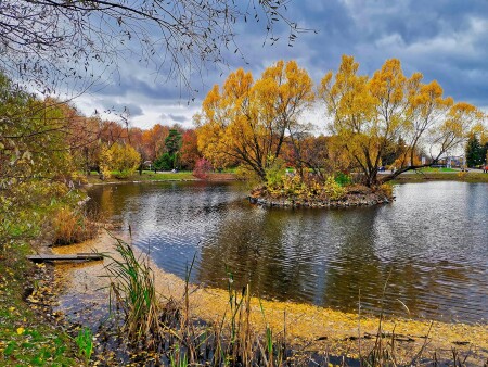 Золотой остров