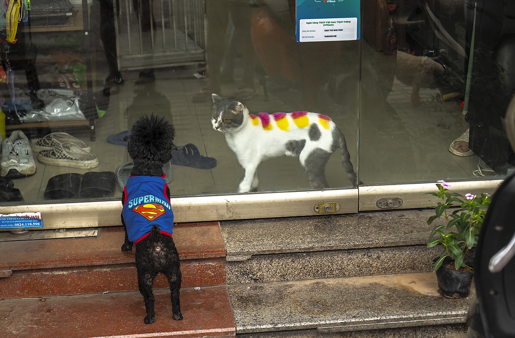 Однажды в Ханое, или символическая встреча. 