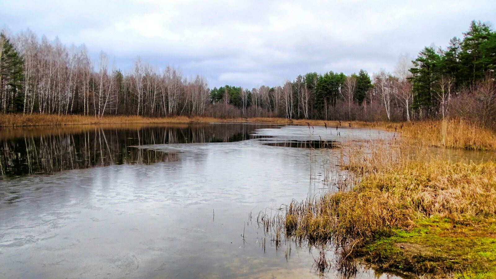 Природа Смоленщины 