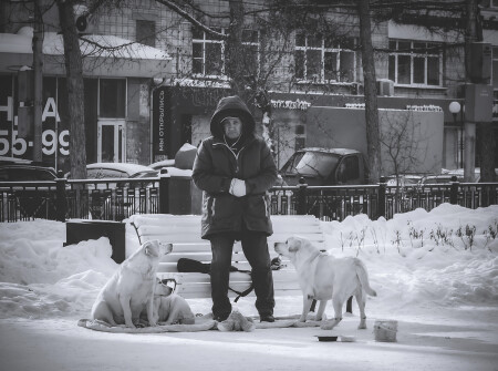 На пропитание