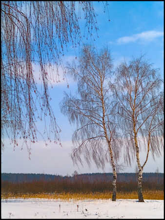 Почти весна