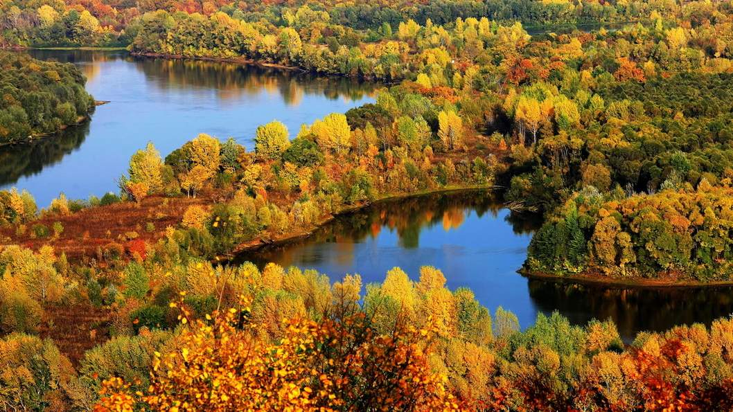"Снова осень закружила карусель мелодий..."