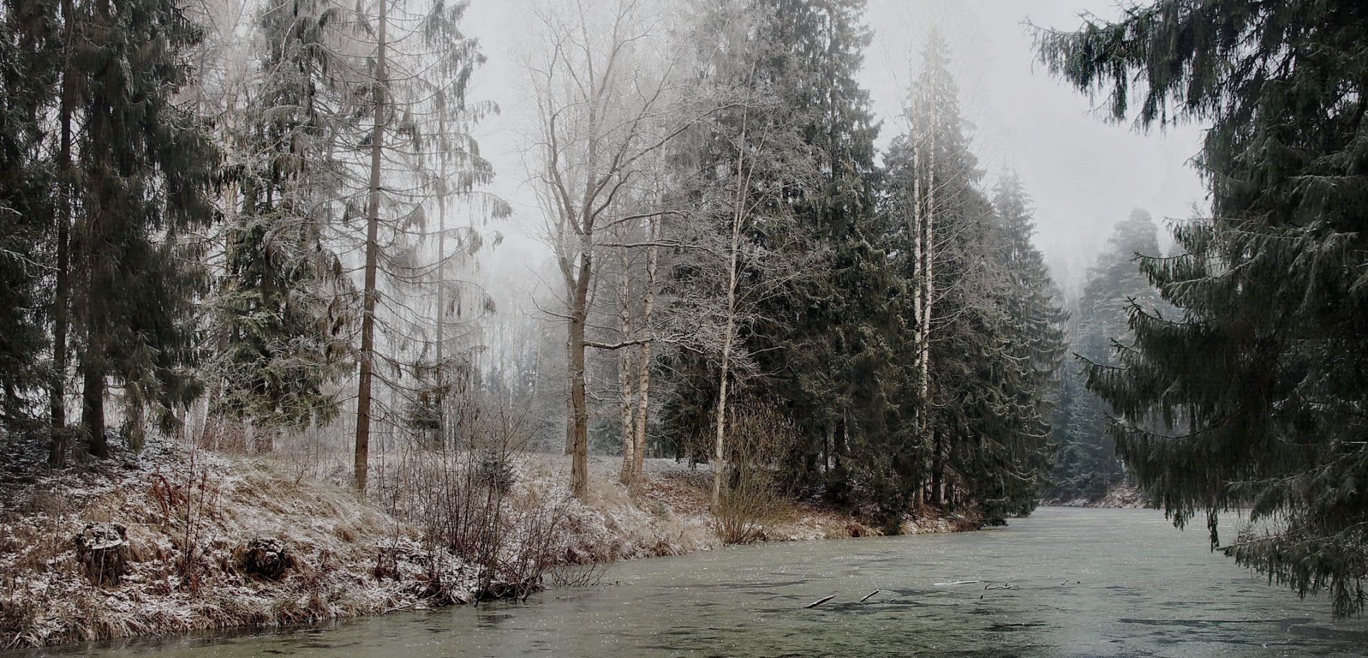 Замерзший пруд