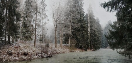 Замерзший пруд