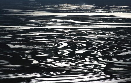 Дельта Волги