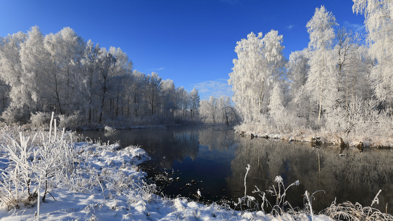 У родника...