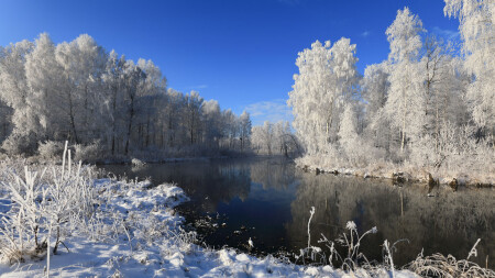 У родника...