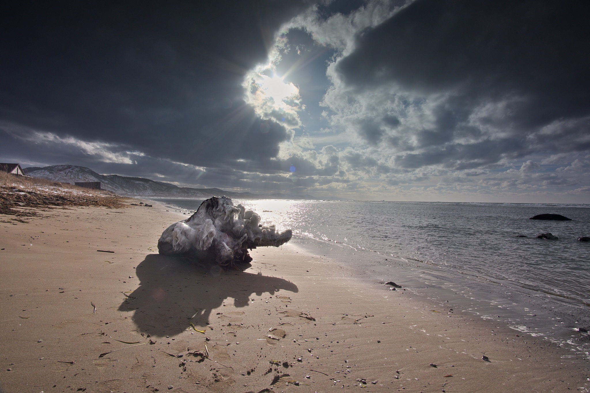 на берегу с.Яблочное , о.Сахалин