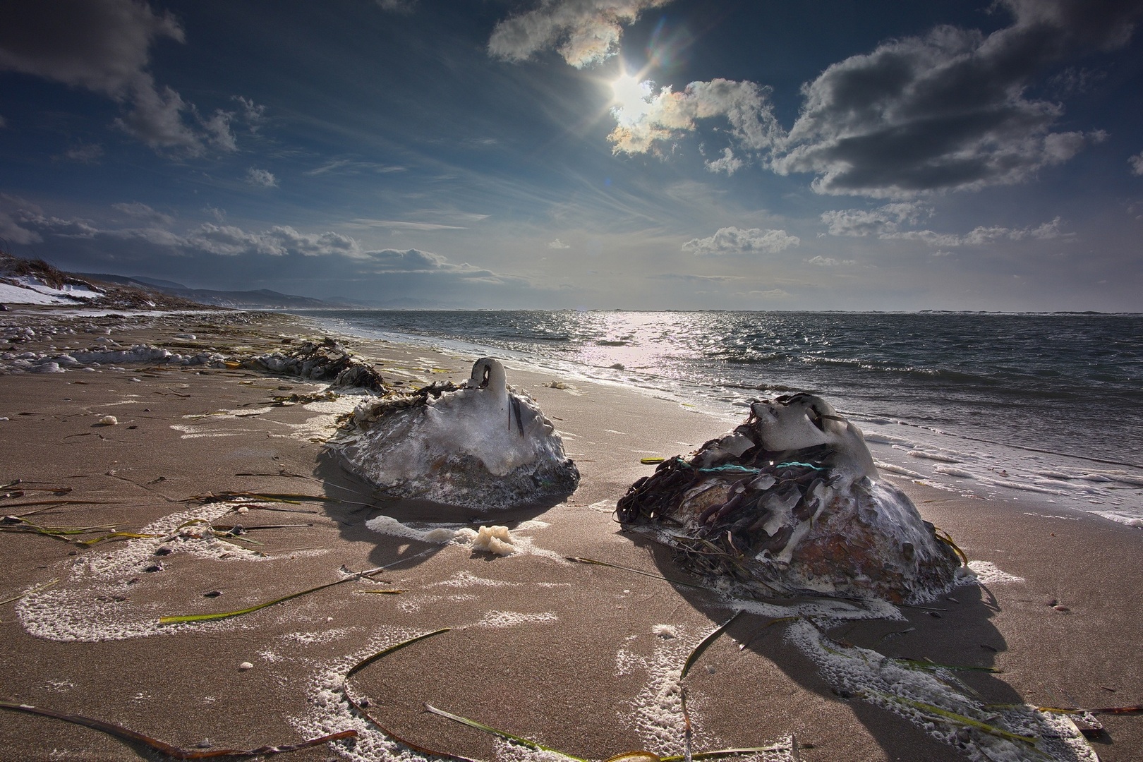 на берегу с.Яблочное , о.Сахалин