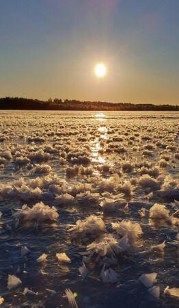 ледяные цветы на озере