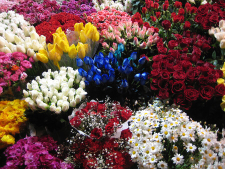 Цветочная лавка Стамбула