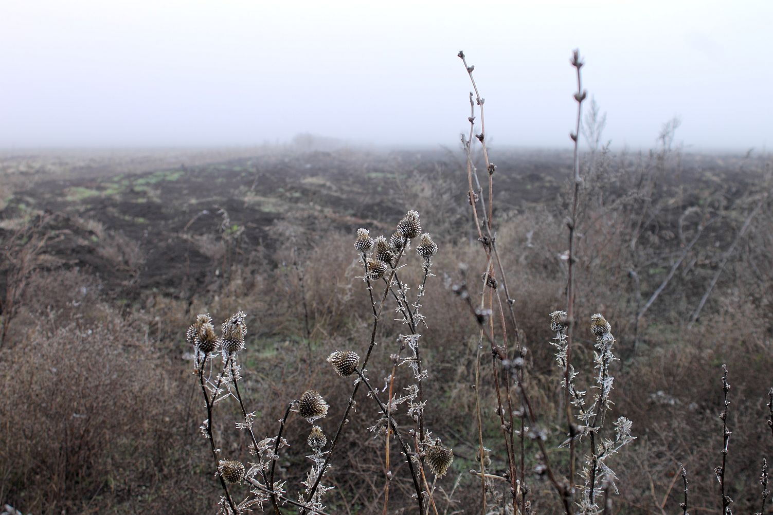 Это было вчера